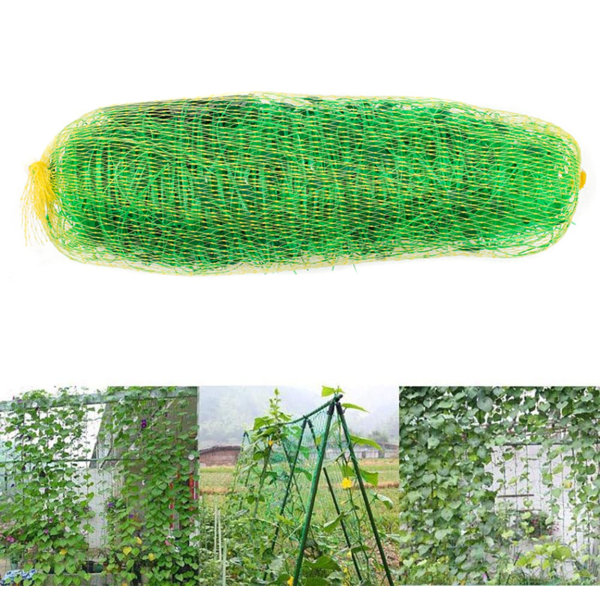 Arlmont & Co. Plants Support Green Plastic Trellis Netting For Climbing